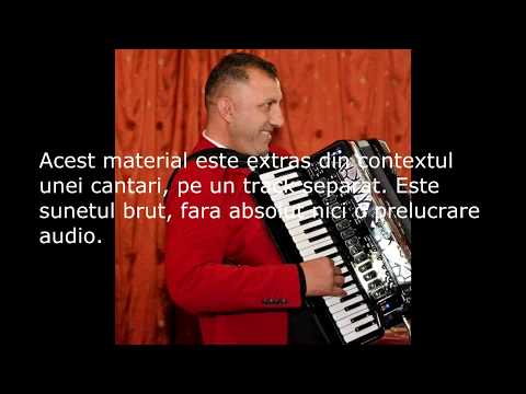 Cornel de la Ciuperceni - Primirea invitatilor (Mars)