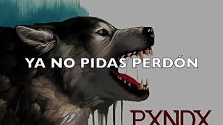 PXNDX-Saco Sport Y Clavel Blanco con letra