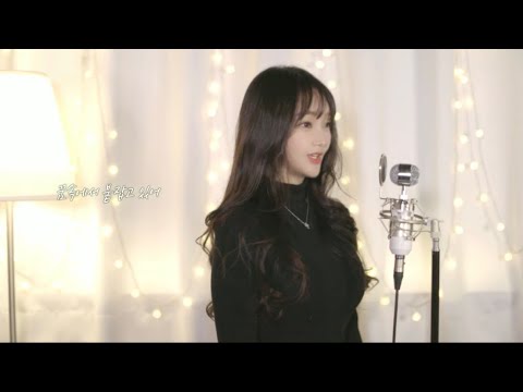 비디오 6