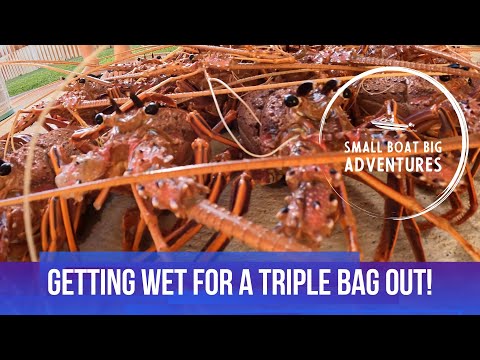 WE GOT SOAKED! AND A TRIPLE BAG OUT! - Crayfishing 2025