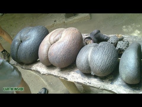 Liqueur ramuan untuk potensi Penis pembesaran Moskow