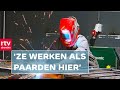 Kans voor statushouders in metaalbewerking & huisartsen naar Drenthe | Drenthe Nu 22 november 2021