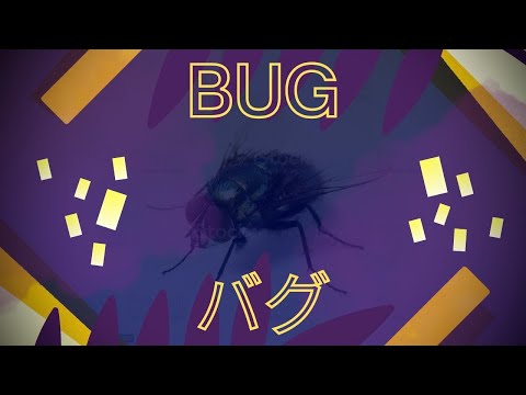 BUG  『バグ』