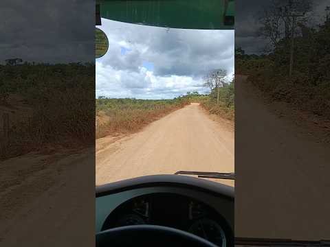 Safra 2026 Buriticupu Maranhão Brasil!