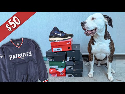 Vida de Storage - El Faluchito de la suerte 🐶🍀 👟