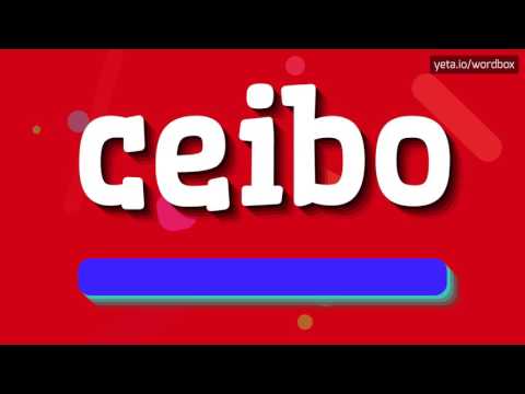CEIBO - HOW TO PRONOUNCE IT!?