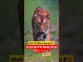 जीतने मेरे खिलाफ खड़े हुए हैं Ytshorts Shorts Motiva