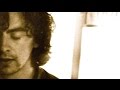 City Lights (Paul McGilloway) 