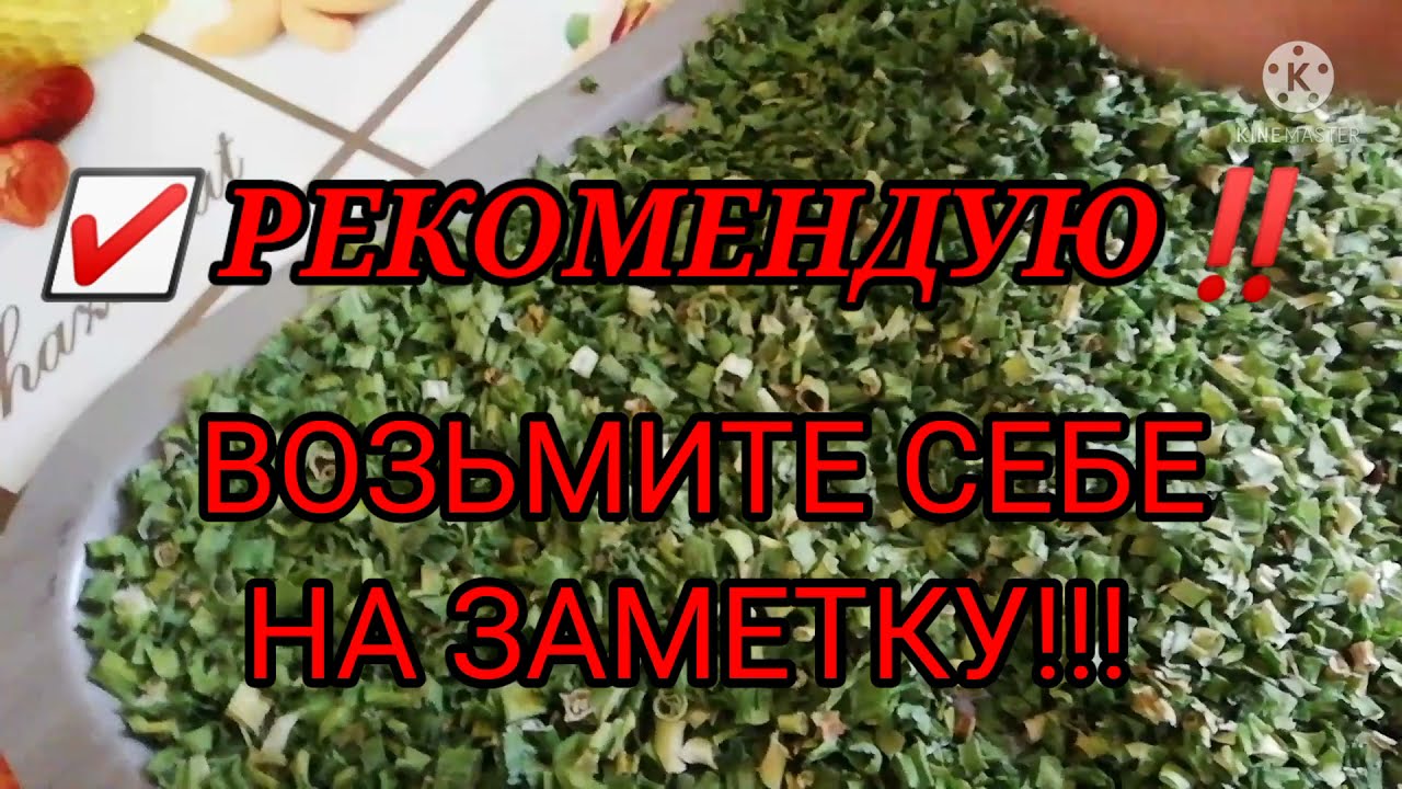 как сушить зеленый лук в домашних условиях