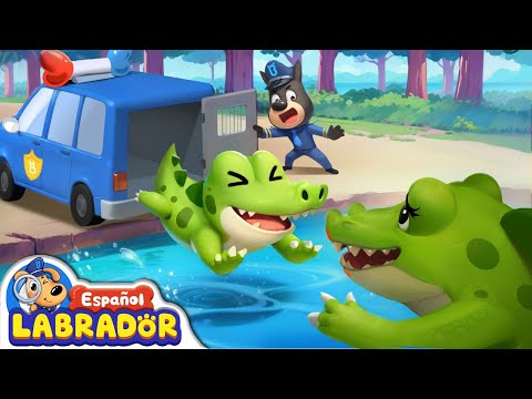 🔍Sheriff Labrador - No Traigas Animales Salvajes a Casa 🐊 | Videos para Niños | BabyBus en Español