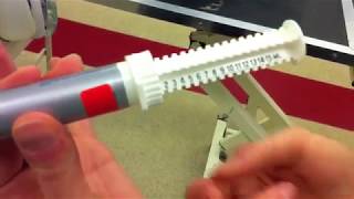 Pet Prescription - Giving a Probiotic paste to a dog