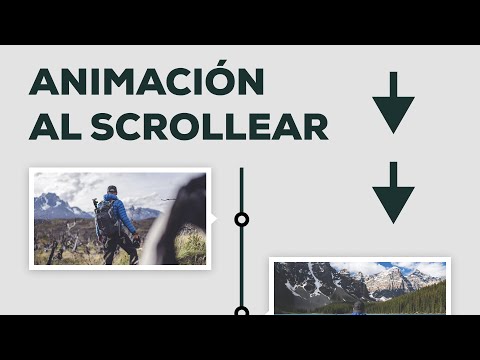 Como agregar Modo Oscuro Manual y Automático con Tailwind v4