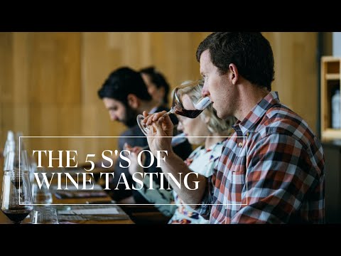 How to Taste Wine Like a Pro