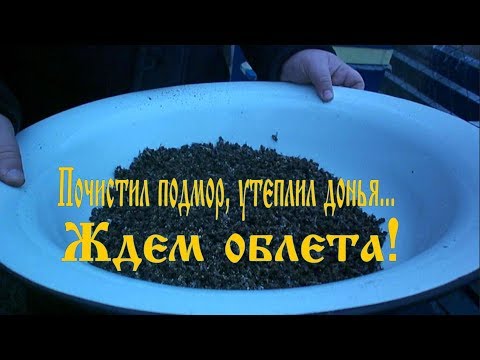 Почистил подмор, утеплил донья... Ждем облета!