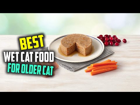 Best Wet Cat Food for Older Cat [Top 5 Review] - Lickable Wet Cat Food [2022]