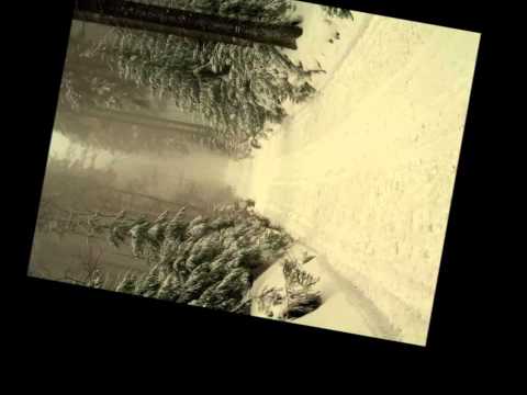 Milan Rakić "Iskrena pesma"