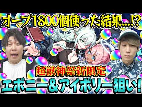 M4タイガー桜井＆宮坊が挑む！超獣神祭ガチャで新限定エボニー＆アイボリーを狙え！