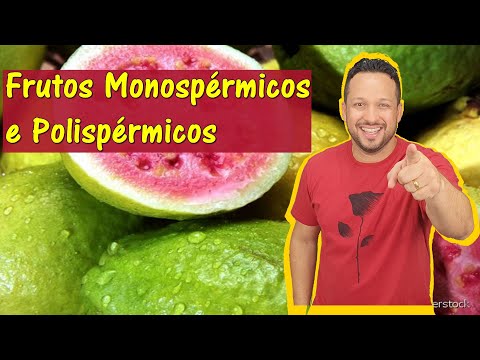 Frutos Monospérmicos e Polispérmicos - Classificação dos Frutos - Organologia Vegetal - Botânica