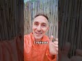 Is India Full Of Nazis Swastikas In India
