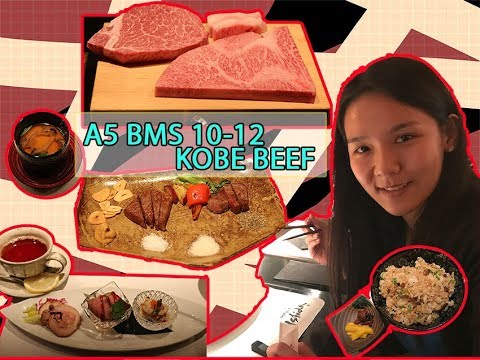 [JAPAN日本] A5 Kobe Beef experience at Ishida,Kobe Japan