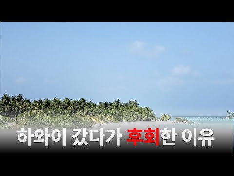 평생 버킷리스트였던 하와이에서 전혀 즐길 수 없었던 이유