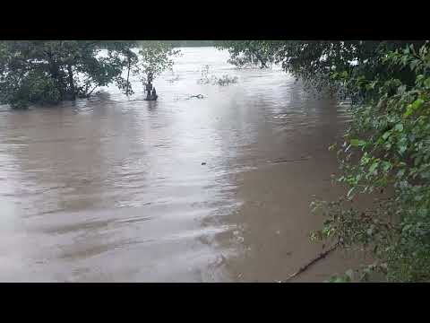 Kamp Kolpa vhod na plažo