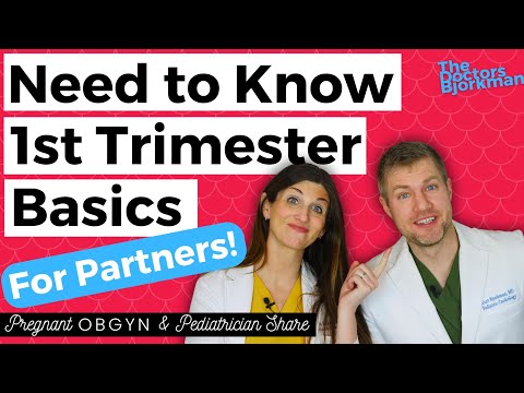 1st Trimester Guide for Partners | Pregnant OBGYN + Pediatrician Tips!
