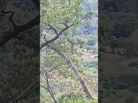 vista del serro así a san isidro cabañas