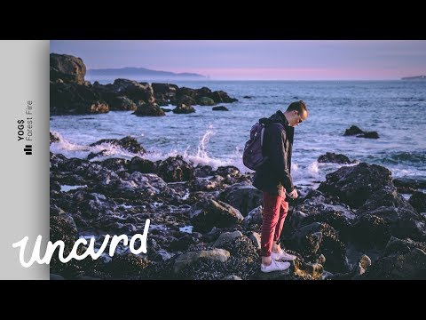 YOG$ - Forest Fire (feat. alayna & Healy)