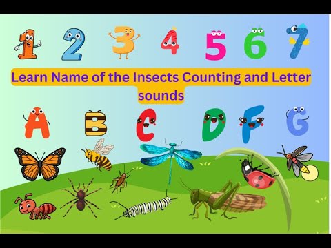 Insects Counting Song| Name of the Insects Learn Through Games