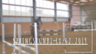 Video von Cavalino de moi