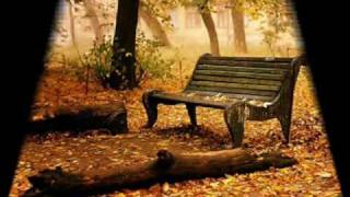 Esta tarde vi llover.Presuntos implicados. Jippybueno