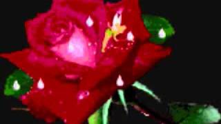 espinoza paz odio explotar