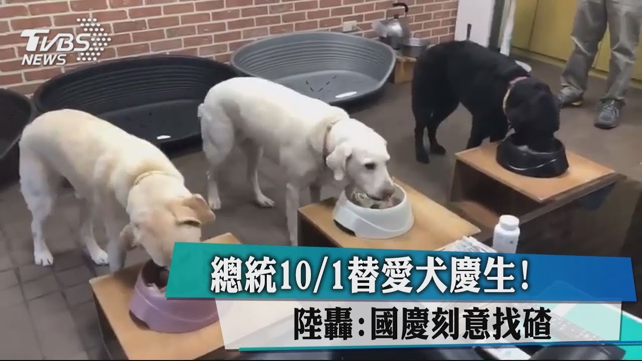 總統10/1替愛犬慶生！　 陸轟：國慶刻意找碴