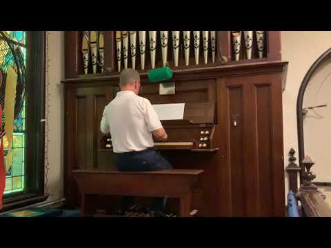 Organ Demonstration