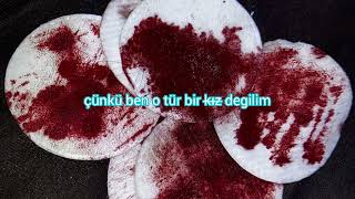 My Chemical Romance - Not That Kind Of Girl [türkçe çeviri]