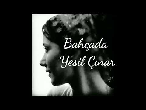 Bahçada Yeşil Çınar- Hilal Uzun Yorumu