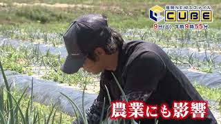 動画のサムネイル