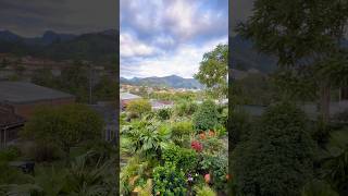 Views in Salento, Colombia hit different 🌴Hotel: Villa Salento Boutique Apartments & Spa #travel