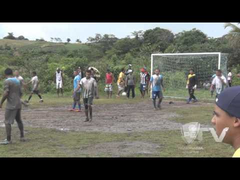Lances de Brasiliense 2x1 Palmeiras