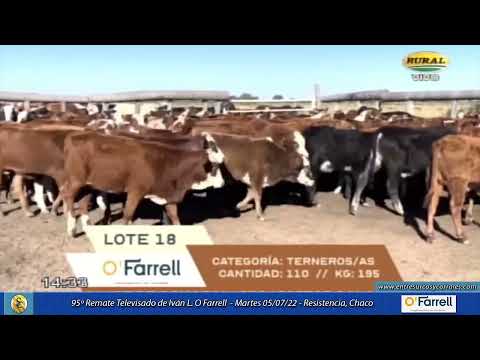 05-07-22 - 95º Remate Televisado de Iván O Farrell - Resistencia, Chaco