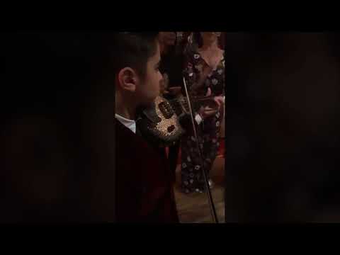 Bogdan Farcas, Mierea Romaniei & Darius Cocos - Spectacol Live (By Dan Bursuc)