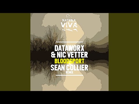 Bloodsport (Original Mix)