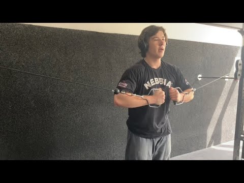 Spring Chest/Shoulders Day 171 - Bulk