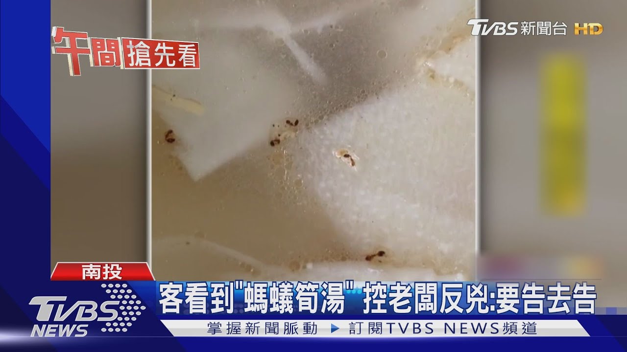 客看到「螞蟻筍湯」 控老闆反兇:要告去告