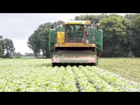 Fliegende Bohnen | Sommertour 2015: Folge 10, 15.7.2015