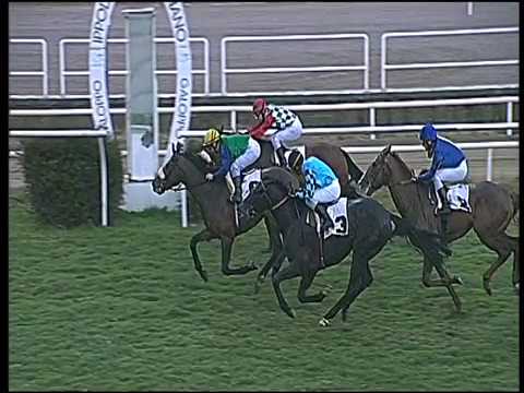 Galoppo 18/02/2017 - 1ª corsa