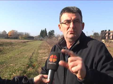 Voćarstvo i dalje u silaznoj putanji