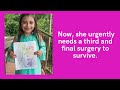 Everly's Fight for Life: Help Save Her Heart