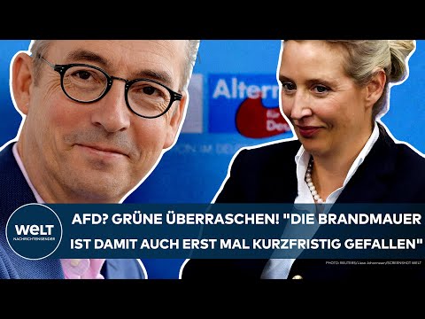 FLEISCHHAUER: AfD? Grüne überraschen! "Die Brandmauer ist damit auch erst mal kurzfristig gefallen!"